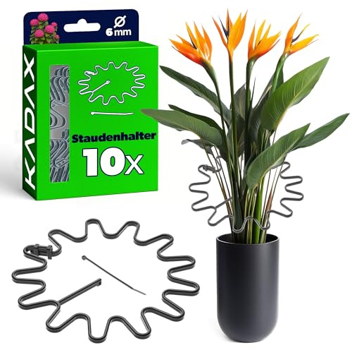KADAX Staudenhalter Ø 21 cm im 10er Set, Pflanzenhalter Rund mit Kabelbinder, Hortensienhalter aus Kunststoff, Pflanzenstütze für Hortensien, Blumenhalter (Schwarz)
