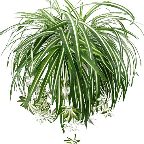 Artificial Chlorophytum Silk Flowers, Flowers Spider Plant Fake Greenery Faux Plant Hanging Basket Ivy Green Leaves Wall Hanging Plants for Home Garden Office Wedding Decoration (Green , One Size )