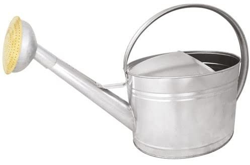 ARROSOIR 10L Acier GALVA - Pomme GALVA Grille Laiton, Gris