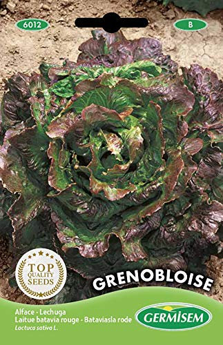 Germisem Grenobloise Semi di Lattuga 2 g