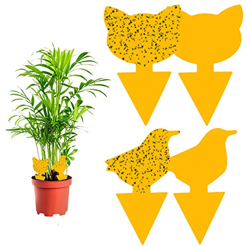 Vegena Fruchtfliegenfalle, 60 Stück Gelbtafeln Fliegenfalle Gelbsticker Obstfliegenfalle Fliegenfänger Gelbfalle Klebefalle Insektenfalle für Zimmerpflanzen Trauermücken Blattläuse Topfpflanze Garten