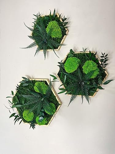 Moosbild Hexagon Dschungelblume & Hügelmoos Sechseck Gedankenwunder Manufaktur