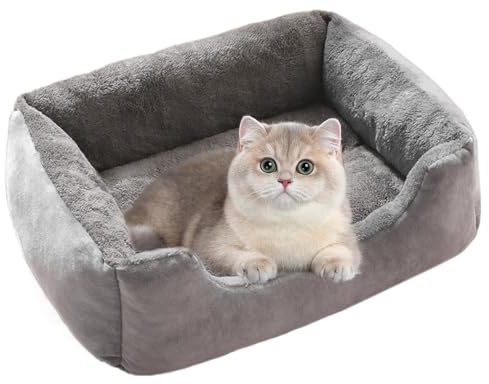 Hundebett für kleine Hunde – Schlafplatz für Welpen und Kätzchen mit rutschfestem Boden, Plüsch für Welpen, beruhigende zum Schlafen, Sofa, für Wohnzimmer, Schlafzimmer, Zwinger