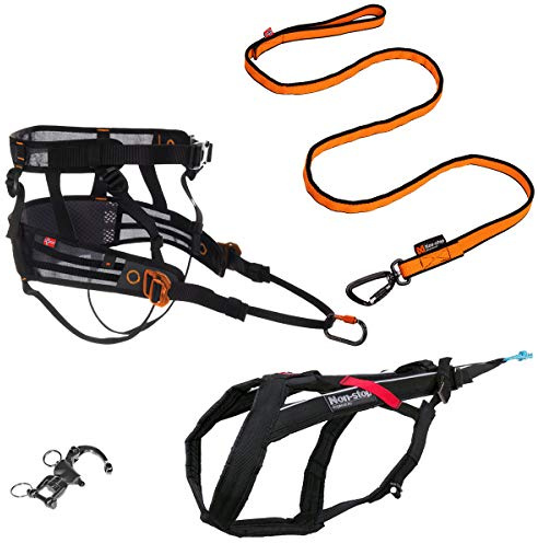 Non-stop dogwear Canicross Komplett-Set | PanikSnap, Bungee Leash 2m, CaniX Belt Größe:M, Zugeschirr Größe:9