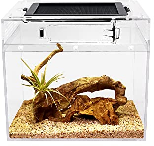 Reptile Growth Mini PC Terrarium, 8 x 8x 7Faunarium für,Schnecken,Insekten,Vogelspinnen,Springspinne,Leopard Gecko，Einsiedlerkrebs