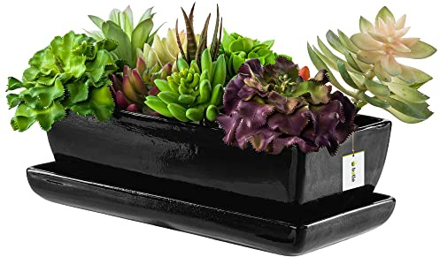 botle Macetero negro cactus con plato, rectangular, 15 cm x 29 cm x 9 cm, superficie brillante, cactus, cerámica, moderno, glamour