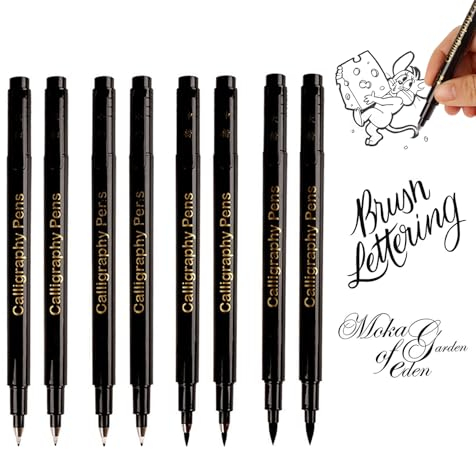 AQSQWQ 8x Kalligraphie Stifte, Handlettering Stifte, Kaligraphiestifte, Calligraphie Stifte Lettering Stifte set für Anfänger Schreiben, Unterschrift, Illustration Design und Zeichnen