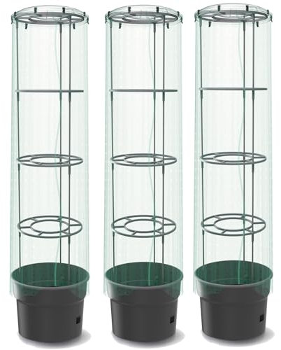 3 plantas de tomate con tapa y lámina, macetero de 18 L, cultivador de tomates, macetero, macetero, vegetales, tomates, lavadoras de tomates, tapas de lámina, macetero de 18 L, maceta de tomates,