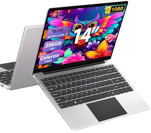 Ordenador portátil 14 Pulgadas N4020 hasta 2,8 GHz Portátil 8GB LPDDR4 RAM 256GB SSD Soporte 1TB SSD Expansión portatil 2.4G+5G WiFi BT4.2 USB, WiFi, Mini-HDMI, 1920*1080 IPS HD Pantalla-Plata-B