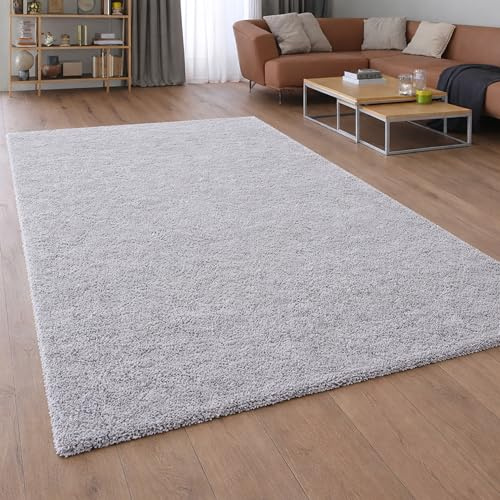 Teppich-Traum Moderner Shaggy Teppich Hochflor Uni Hellgrau 120x170 cm | Weich und flauschig, pflegeleicht, langlebig, formstabil, saugrobotergeeignet, OEKO-TEX geprüft, Wohnzimmer, Flur & Diele