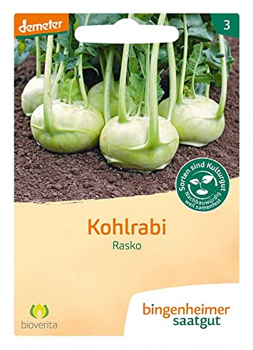 BINGENHEIMER Saatgut Kohlrabi, Rasko