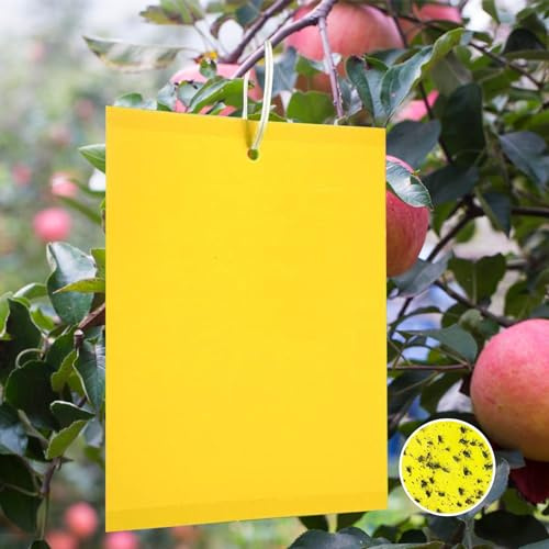 Panngu 40 Gelbtafeln Trauermücken Bekämpfen 20cmX15CM, Premium Gelbsticker Fliegenfalle, Gelbstecker Gegen Kirschfruchtfliege