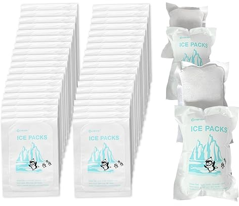 World-Bio 20 × Eisbeutel für den Versand, Wiederverwendbare dünne Trockeneis Beutel, gefroren, halten Lebensmittel frisch und Trinken kalt, Gefrorene Gelbeutel Ice Brix für Kühler, Größe - 4,7x 3,3