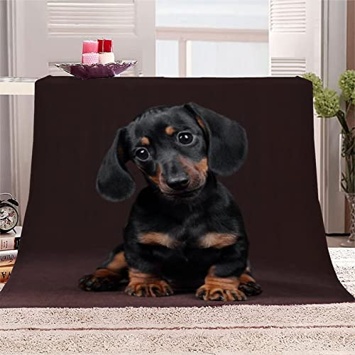 okoikfc Kuscheldecke Flauschig 220x240 cm 3D Dackel Decke Fleecedecke - Wohndecke, Sofadecke XXL, Decke Couch Blanket, Kuscheldecke Große, Sofa überwurfdecke