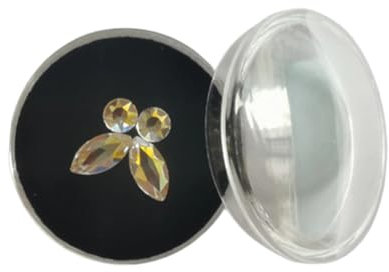 INGJIA Crystal Dentaire, Ornements Dentaires Dentaires Dentaires Cristal Ornements Dents Bijoux décoration Ongles Bijoux Blanc Strass de Cristal de Gemme de Cristal de Décoration avec boîte