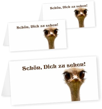 10 Tischkarten mit Motiv Vogel Strauß. Größe aufgestellt 9,8 x 4,9 cm | Ausgefallen, Lustig und passend zur Tischdekoration zum selber beschriften
