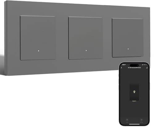 BSEED Smart WiFi Interruptor 1 Gang 1 Vía Triple Compatible con Amazon Alexa/Google Home, WiFi Pulsador Marco de PC Compatible con Smart Life/Tuya, Gris