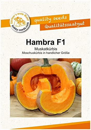 Kürbissamen Hambra F1 Portion
