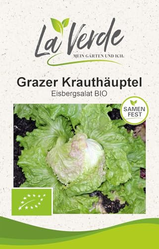 Grazer örthövden ekologisk isberg sallad salladsfrön