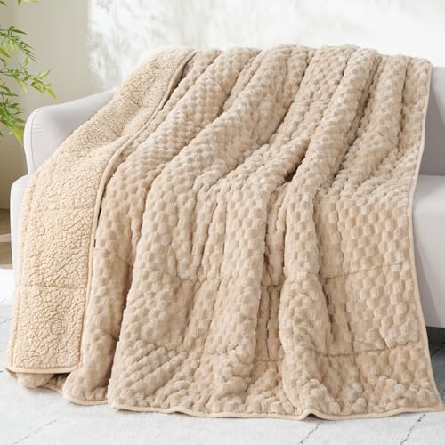 Drewin Gewichtsdecke für Erwachsene, Queen-Size-Größe, 6,8 kg, weiche, Flauschige Sherpa-Gewichtsdecken zum Schlafen, gemütliche, Flauschige, schwere Decke für Couch, Bett, 152,4 x 203,2 cm, Beige