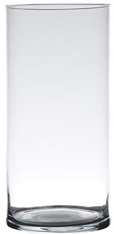 Glasvase Zylinder H: 30cm D: 12cm transparent Glas Hakbijl