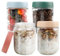 Cozary 4 Piezas Tarros de Avena Nocturna, 480ml Tarros de Cristal con Tapa Hermética, Botes de Vidrio reutilizables, para Frigorífico, Despensa, Ideales para Overnight Oats, Yogur, Mermeladas