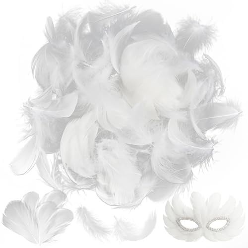 Faburo Federn zum Basteln, 300 Stück Federn Weiss Set, 5~8cm Federn Weiß für Dekoration Hochzeiten Partys Weihnachten Ostern, Weisse Federn zum Basteln Geeignet für DIY Traumfänger