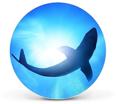 banjado Magnettafel Ø 47cm Weiß - Magnetwand aus Metall - Magnetpinnwand als Memoboard - Pinnwand Magnettafel Küche, Büro, Kinderzimmer inkl. 4 Magnete & Montageset - Hai