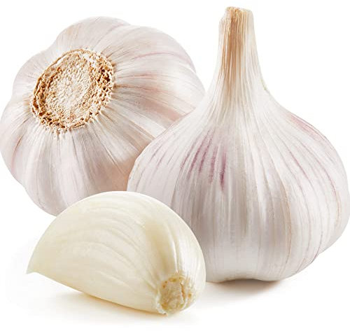 Garlic Growing Set - French Variety 'Vigor Supreme' - 3 x Large Bulb Pack Garden Plants - Garlic Bulbs - Vegetable Bed - Containers - Kitchen - Garden Ready + Ready to Plant - Premium Quality Bul