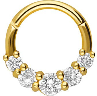 PIERCINGLINE Chirurgenstahl Segmentring Clicker | 5 EINGEFASSTE KRISTALLE | Piercing Ring Nase Septum Ohr Helix Tragus | Farbauswahl