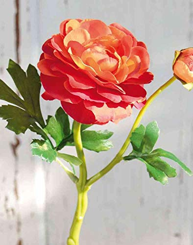 artplants.de Ranunkel Kunstblume Kalea, orange, 30cm - Ranunkel Deko/Künstliche Blume