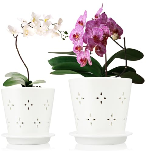 Suclain Juego de 2 macetas de cerámica para orquídeas con agujeros de 6 y 5 pulgadas con agujero de drenaje y platillo, juego de macetas de orquídeas blancas para trasplante de interiores y