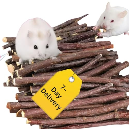 Dyiouxin Bois de pommier pour lapin, bâtonnets à mâcher, jouets à mâcher pour hamster, bâtons de pommes naturels, avec pierre minérale, pour lapins, cochons d'Inde (500, grammes)