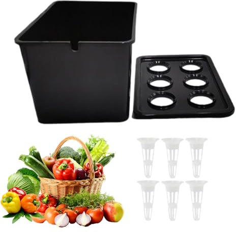 Compact Hydro Grow - di Coltivazione Indoor per Prodotti freschi, Scatola per piantare 6 Fori con Coperchio, Contenitore per Coltivazione Senza Suolo, Balcone, davanzale, Ufficio