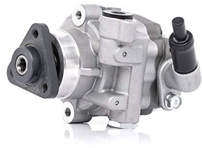 RIDEX 12H0093 Servopumpe Hydraulikpumpe Lenkung Kompatibel mit VW Transporter T5 Bus 7HB, 7HJ, 7EB, 7EJ, 7EF, 7EG, 7HF, 7EC 2H0422154A 7E0422154E
