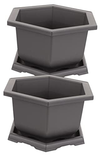 KITANDOVE 2sätze Kunststoff Blumentöpfe Mit Untersetzer Für Sukkulenten Und Kleine Pflanzen Für Innenräume Und Garten Stabil Und Wasserfest