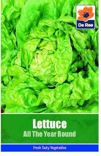 Lettuce All The Year Round Seeds - 1455 Seeds Vegetable Grow Your Own Garden Salad Herb Vegetable Seed