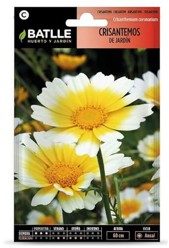 SEMILLAS CRISANTEMOS DE JARDIN