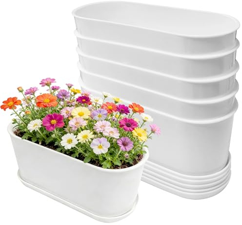 Lot de 5 jardinières ovales pour Herbes aromatiques, jardinières de fenêtre avec Plusieurs Trous de Drainage, 21,6 x 8,4 cm pour Plantes aromatiques intérieur/extérieur pour cultiver des Plantes, des