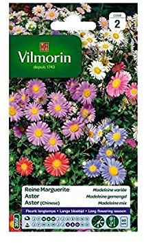 Vilmorin - Reine Marguerite Madeleine variée
