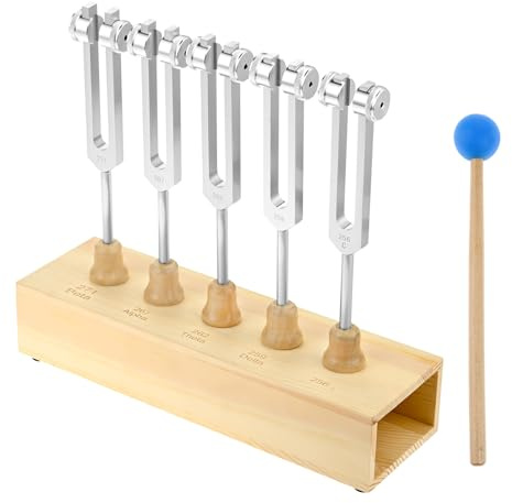 ETERMETA Brain Tuner Stimmgabel 5er Set EEG Delta Theta Alpha Beta Stimmgabeln mit Holz Voice Box (256Hz, 259Hz, 262Hz, 267Hz, 271Hz) | EEG Delta Theta Alpha Beta Stimmgabeln mit hölzerner Stimmbox