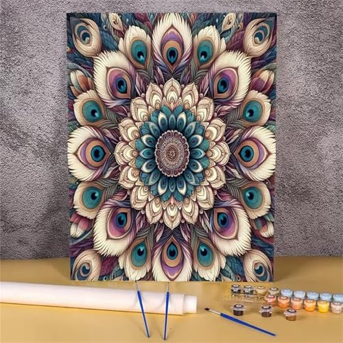 Cooiiye Malen nach Zahlen Erwachsene DIY Feder-Mandala Handgemalt Ölgemälde Kit für Anfänger mit Pinseln und Acrylfarben Paint by Numbers für Home Décor Geschenk,rahmenlos 40x50cm
