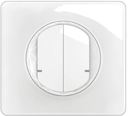 LEGRAND | Interrupteur Double Connecté Avec Neutre, Céliane With Netatmo, Contrôle De L'Éclairage Par Voix Et Smartphone, Installation Facile En Boîte Standard, Compatible Avec Tous Types D'Éclairage