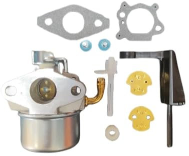 BP17A-1 compatible con carburador barredor de nieve 790290 789653 698860 697354 791077