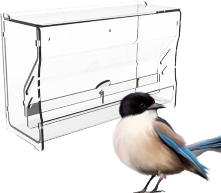 Distributore automatico di cibo per quaglie, senza rifiuti, per acqua e pollo, per uccelli, per una facile idratazione, pulizia pratica e igienica