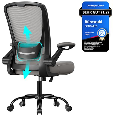 SONGMICS Bürostuhl ergonomisch, Drehstuhl mit Mesh, Lendenstütze, Wippfunktion, 53 cm große Sitzfläche, klappbare Armlehnen, Arbeits- und Schlafzimmer, Studenten, Taubengrau OBN037G01
