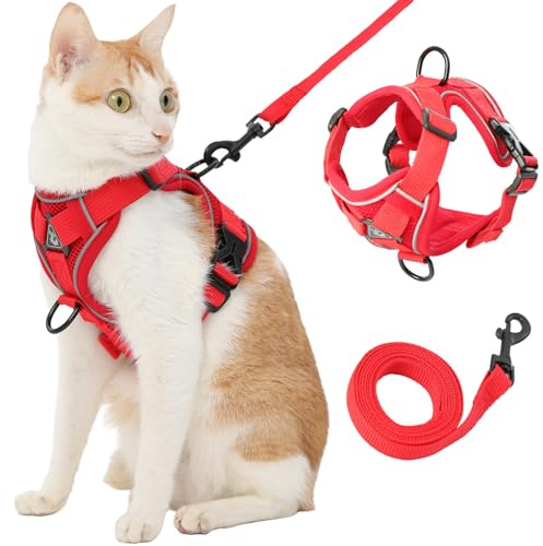 Katzengeschirr und Leine, Rot, Größe XL