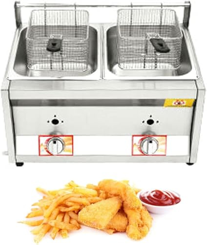 Friteuse commerciale GPL gaz gras, deux réservoirs 10Lx2 avec panier et couvercle, acier inoxydable, pour frites, cuisine à domicile et utilisation au restaurant (20L)