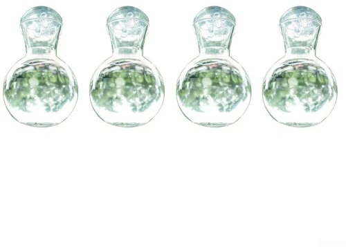 Lot de 4 vases transparents avec ventouse et crochets pour la propagation de pothos philodendron et autres plantes enracinées à l'eau