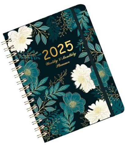 Agenda familiar 2025 – Organizador familiar para el hogar, planificador anual 2025, agenda diaria de citas 2025, planificador mensual de columnas 2025, planificador lácteo 2025, calendario Star